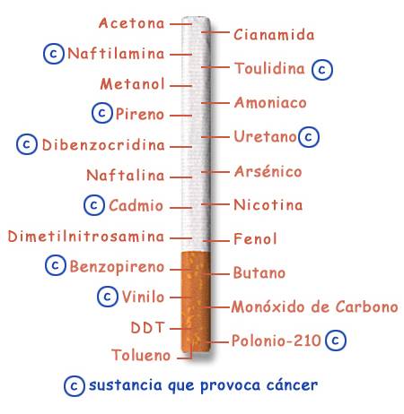 El esquema de la recepción tabeks